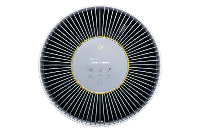 z11 (2)